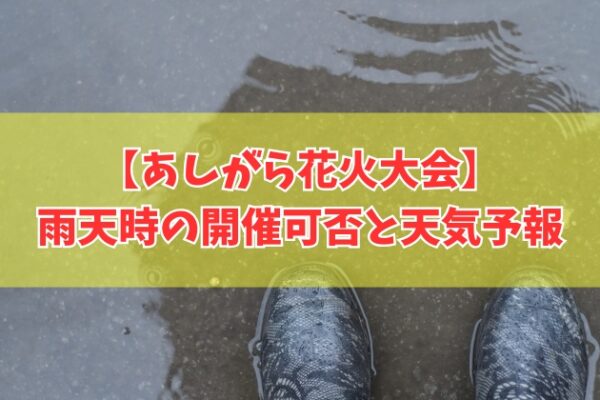 あしがら花火大会2026は雨でも開催？台風だと中止？延期判断と最新天気予報